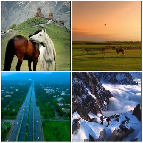 Horses, Sunset, Highway, Climbers