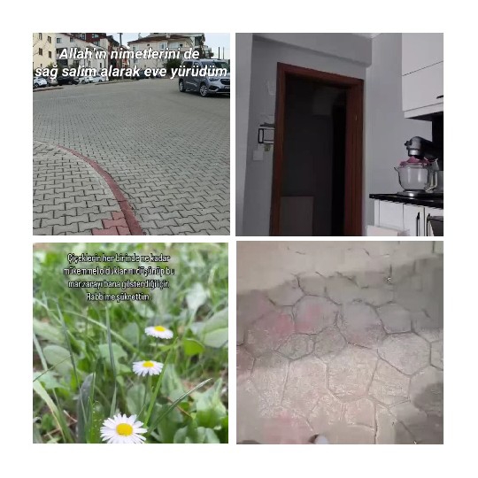 Four Scenes of Daily Life