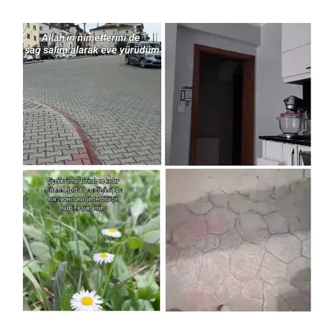 Four Scenes of Daily Life