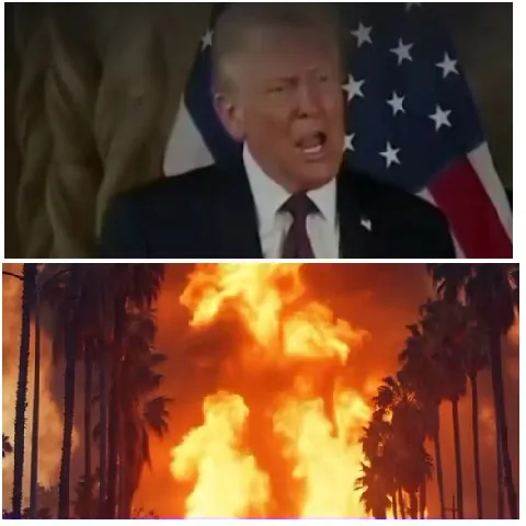 Man Speaking with Palm Tree Fire