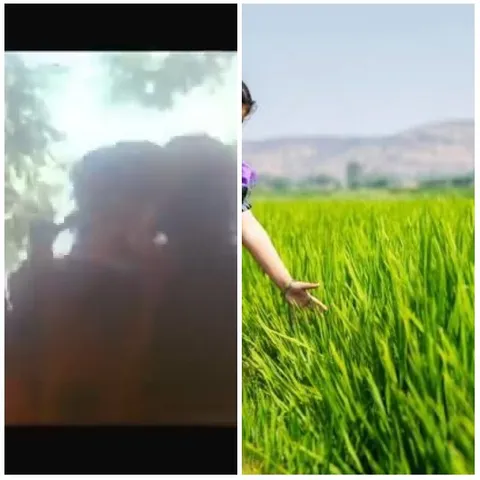 Silhouettes and Touching Grass