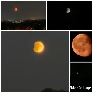 Phases and Colors of the Moon