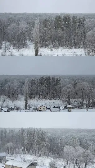 Snowy Landscape and Forest Edge
