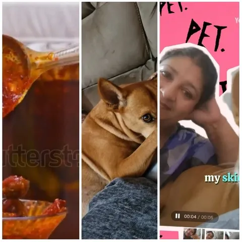 Spoon, Dog, and Friends