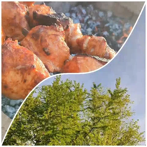 Grilling Meat and Nature Scene