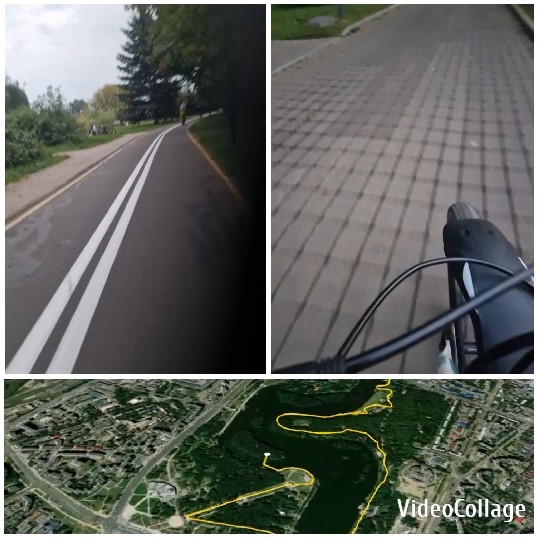 Paved Bike Path and Bicycle View