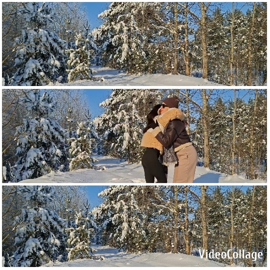 Winter Embrace Under Clear Blue Sky