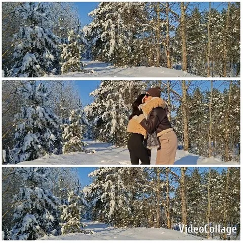 Winter Embrace Under Clear Blue Sky
