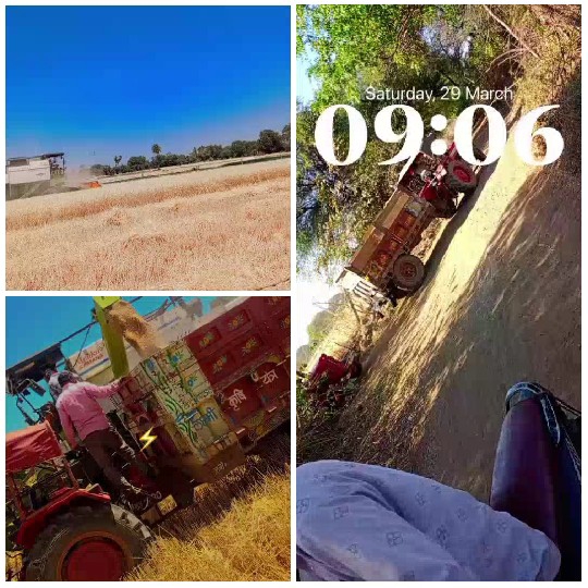 Agricultural Work in the Field