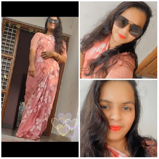 Woman in Pink Floral Saree Poses