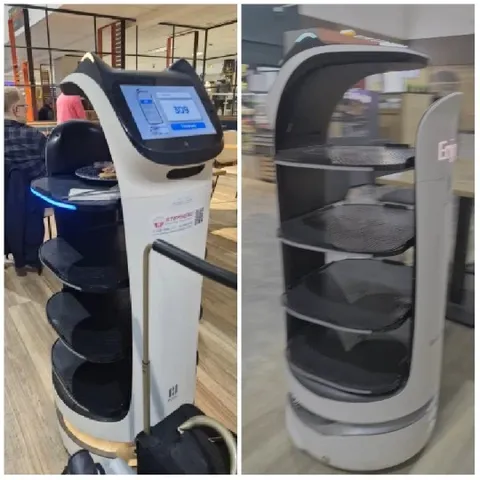 Serving Robots in Busy Setting