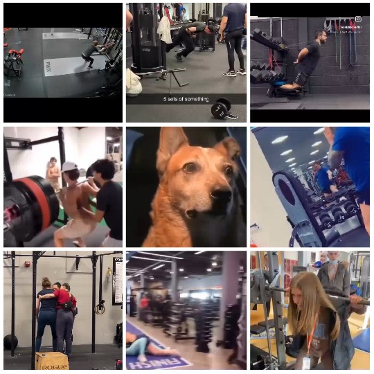 Gym Workout Scenes
