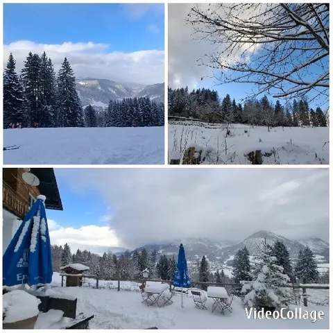 Winter Scenes with Snowy Landscapes