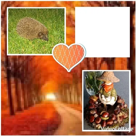 Hedgehog and Gnome in Autumn