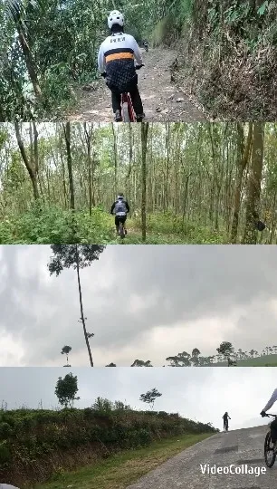 Cyclist on Various Trails
