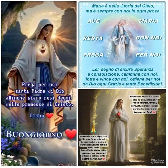 Serene Virgin Mary Depictions