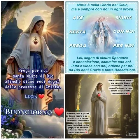 Serene Virgin Mary Depictions