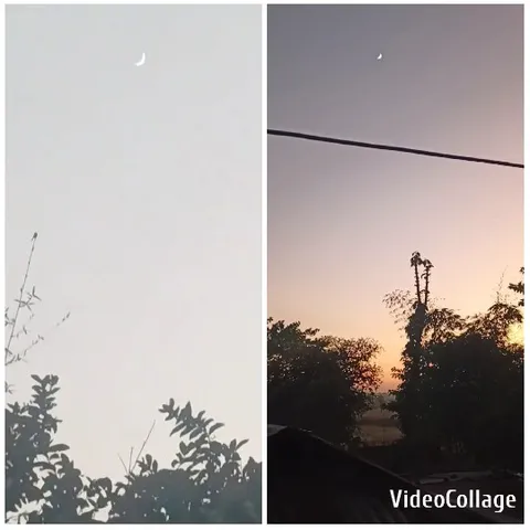 Crescent Moon Above Silhouetted Trees