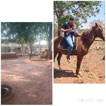Horse Riding in Sunny Fields
