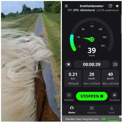 Horse Moving with Speedometer Display