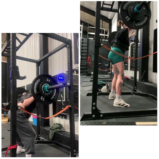 Squat Exercise in the Gym