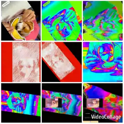 Psychedelic Variations of Small Dog