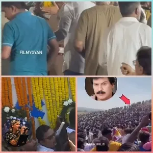 Crowd Celebrating at Outdoor Event