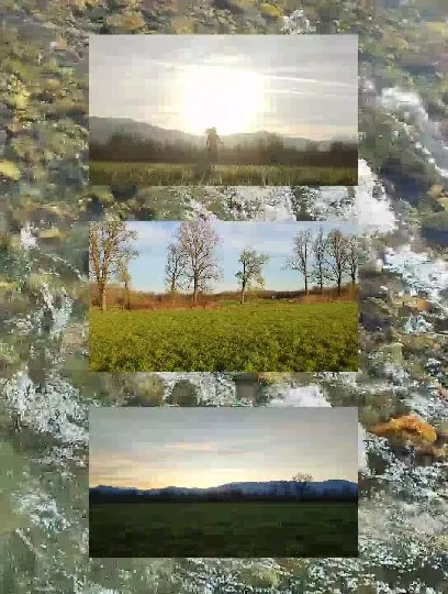 Nature Scenes with Fields and Mountains