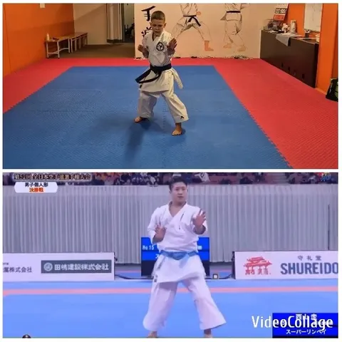 Karate Pose in Dojo and Competition