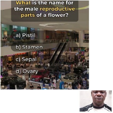 Flower Anatomy Quiz in Mall