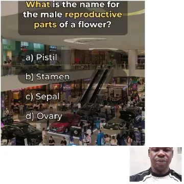 Flower Anatomy Quiz in Mall