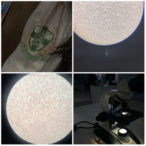Clothing and Microscope Close-Ups
