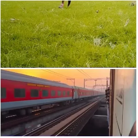 Walking on Grass and Moving Train