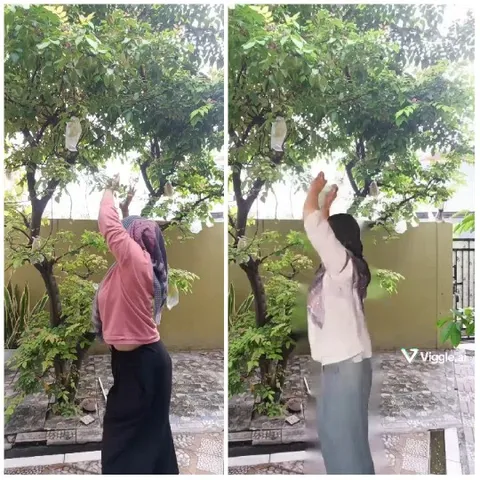 Women Reaching for Tree