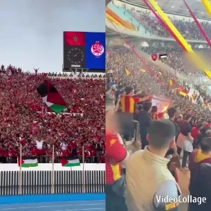 Fans Celebrating in Crowded Stadium