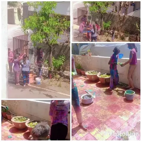 Holi Festival Color Celebration