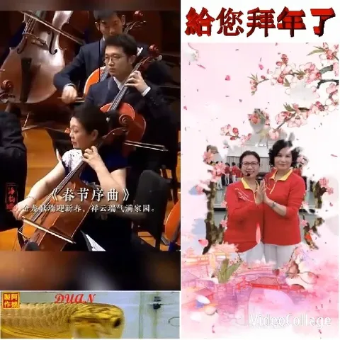 Orchestra Performance and Celebration