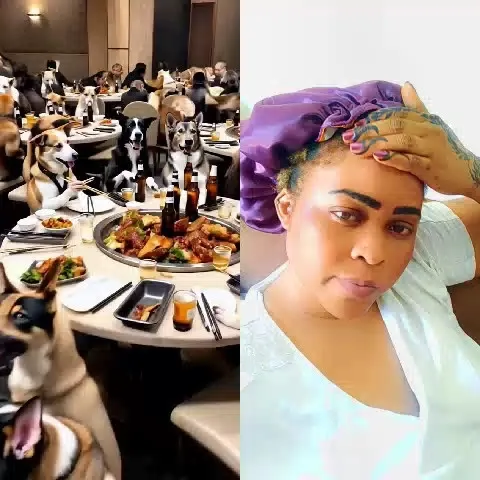 Dogs Dining in a Restaurant