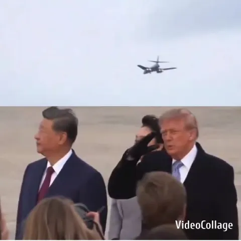 Men in Suits Saluting Under Aircraft