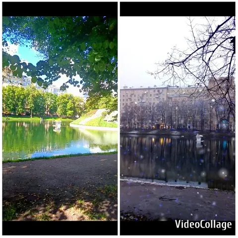 Pond in Sunny and Winter Scenes