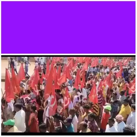 Crowd Marching with Red Flags