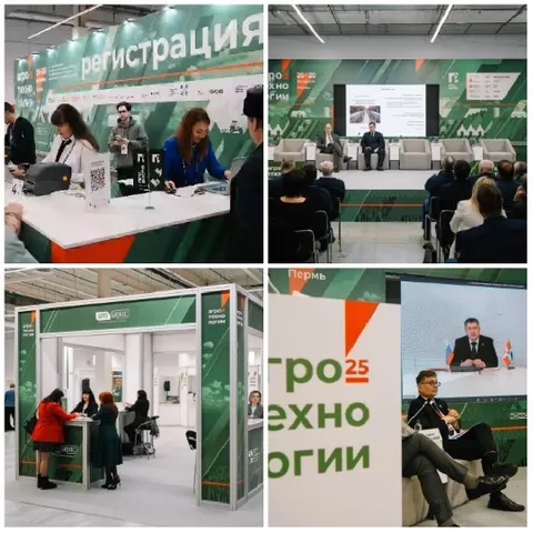 Business Conference Highlights