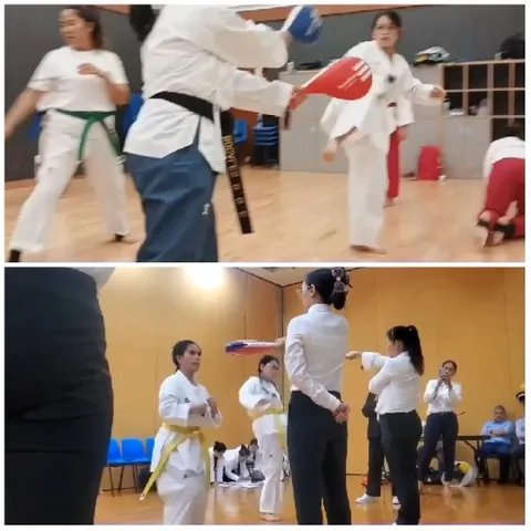 Martial Arts Practicing Techniques