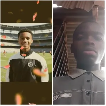 Stadium Scene with Digital Petals
