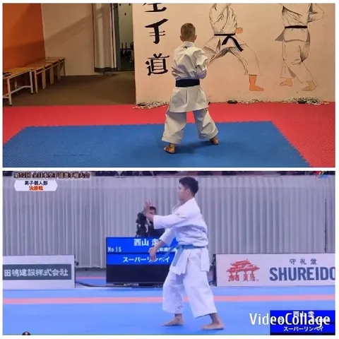 Martial Arts Training and Competition