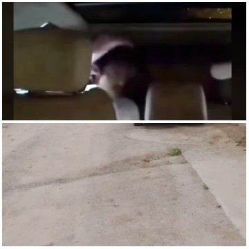 Car Interior and Outdoor Scene
