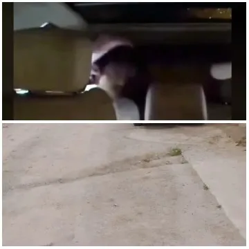Car Interior and Outdoor Scene