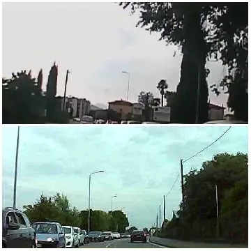 Street View with Trees and Cars