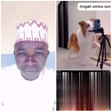 Traditional Attire and Dog Performance