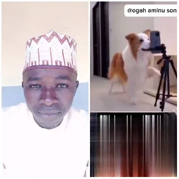 Traditional Attire and Dog Performance